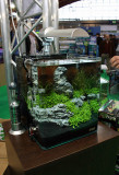 20 Liter Nano Tank by Oliver Knott