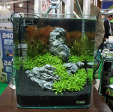 20 Liter Nano Tank by Oliver Knott