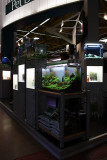 NatureSoil Promotion from and with Oliver Knott at the Anubias Stand - Zoomark 2009