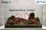 NatureSoil Step by Step Layout Nr.3 by Oliver Knott - Step 11