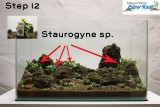 NatureSoil Step by Step Layout Nr.3 by Oliver Knott - Step 12