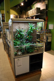Poison-Frog Palludarium set up by Oliver Knott