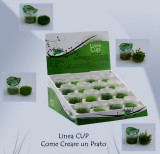 In Vitro Plants: LineaCUP by Anubias (Italy)