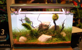 Zooevent 2009 - LineaCup Layout by Oliver Knott