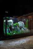 2000 Liter Aquascape by Oliver Knott