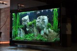 2000 Liter Aquascape by Oliver Knott