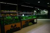 Aquatic Plant Selling Instalation - with Tropica Plants