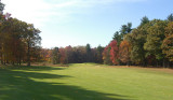 AVON_CC_par5.jpg