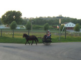 kids_buggy2.jpg
