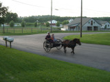 kids_buggy3.jpg