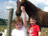 pa_kidshorse.jpg