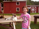 simsbury_elliecat.jpg