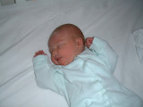 ellie_day3.jpg