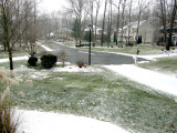 hiddenOak_snow1.jpg