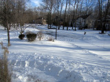 hiddenOak_snow3.jpg