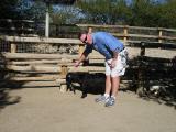 livingdesert_goat.jpg