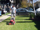 esther_lawnmover.jpg