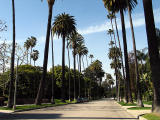 beverly_hills.jpg