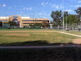 badnews_bears_field_fox.jpg