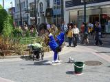 street_performer.jpg