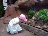 zoo_ellie_turtle.jpg