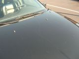 volvo_damage_hood.jpg