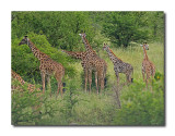 Serengeti National Park