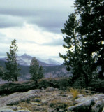 Mt. Hoffman Trail in Yosemite Natl Park