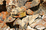 Lichened Rocks at Angel Lake