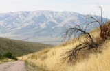 From Harkness Canyon