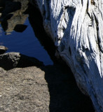 Rock, Water, Wood