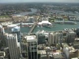 sydney tower view