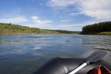 north saskatchewan river 090509_MG_9398