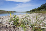 north saskatchewan river 090509_MG_9647