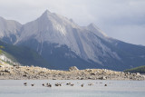 jasper scenery 092609_MG_8760