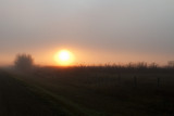 sunrise 101010IMG_3808