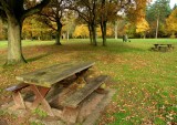 Thetford picnic spot