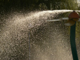 Water spray2.jpg
