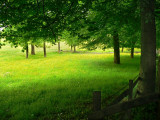 Rochdale meadow_4.jpg
