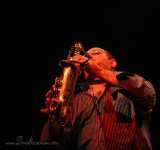 IMG_8861-copy.jpg