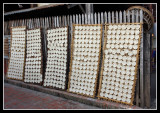 Rice Cakes Drying, Luang Prabang, Laos