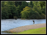 Fly Fishing River Ness 