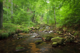 Ise, Nationaal Park Harz