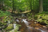 Ise, Nationaal Park Harz