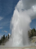 Grand Geyser,Yellowstone, Wyoming