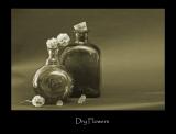 Dry Flowers.jpg