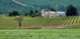 Winery - Rural Pismo.jpg
