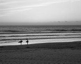 Pismo Surfers.jpg