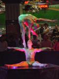 Contortionists 2 - Ceasers Palace.jpg