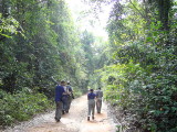 Forest track at Bobiri Reserve, Ghana